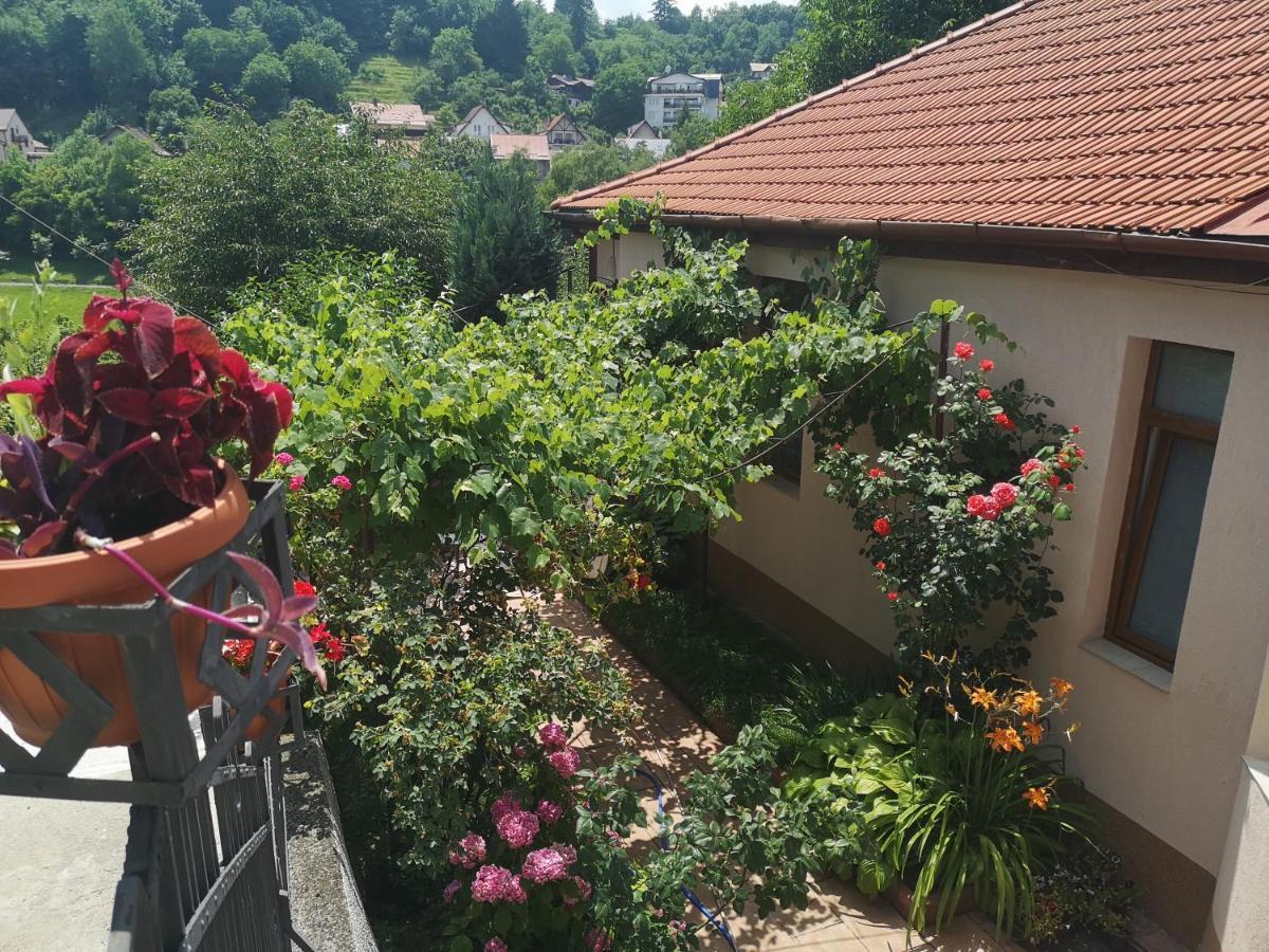 Casa Marius Apartment Brasov Bagian luar foto